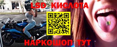 шишки Партизанск