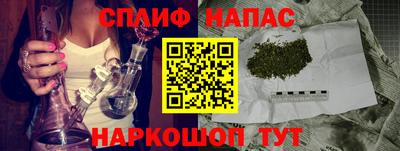 шишки Партизанск