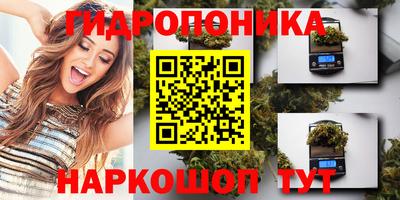 шишки Партизанск