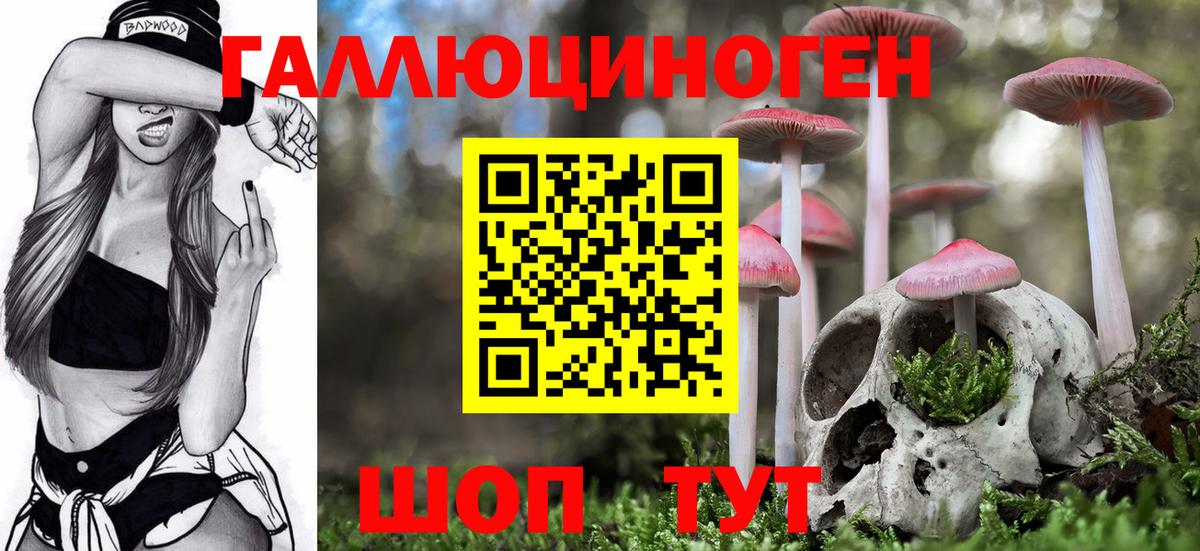 Галлюциногенные грибы Cubensis  Вход с VPN  как найти   Сергиев Посад 